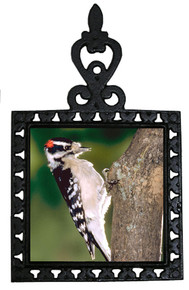 Downey Woodpecker Iron Trivet