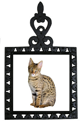 Savannah Cat Iron Trivet