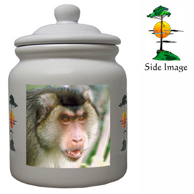 Monkey Ceramic Color Cookie Jar