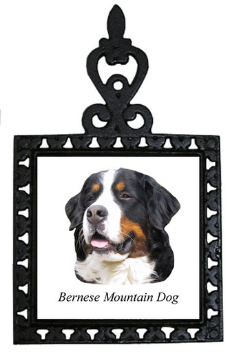 Bernese Mountain Dog Iron Trivet