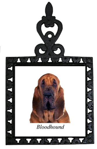 Bloodhound Iron Trivet