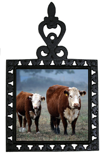 Cow Iron Trivet