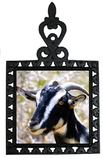 Goat Iron Trivet