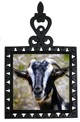 Goat Iron Trivet