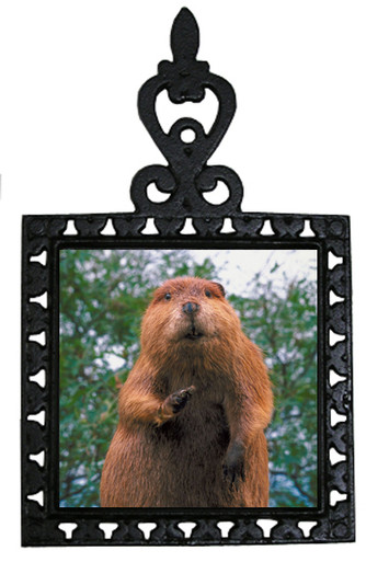 Beaver Iron Trivet