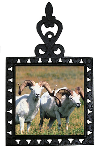Big Horned Sheep Iron Trivet