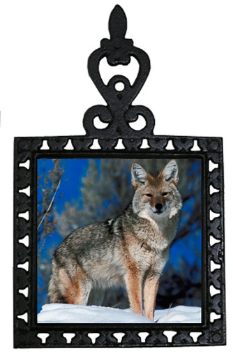Coyote Iron Trivet