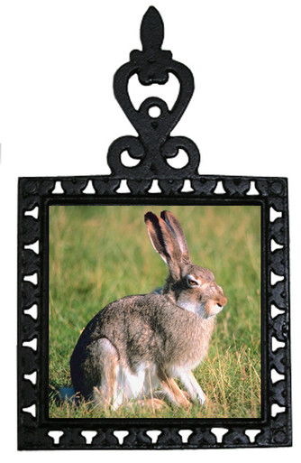 Rabbit Iron Trivet