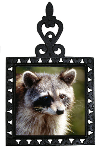 Raccoon Iron Trivet