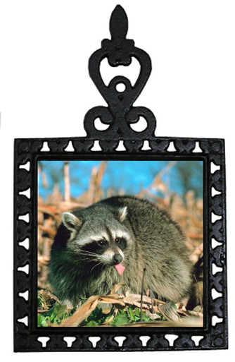 Raccoon Iron Trivet