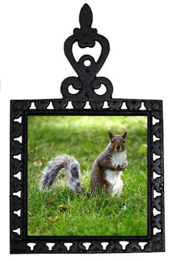 Squirrel Iron Trivet