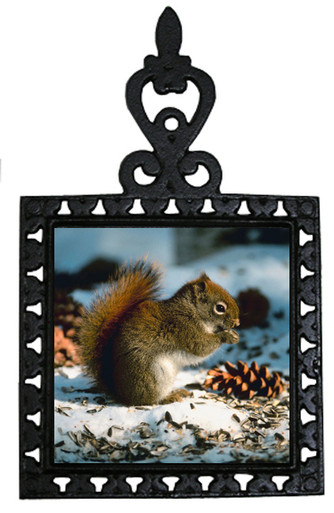 Squirrel Iron Trivet