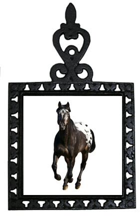 Appaloosa Iron Trivet