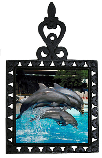 Dolphin Iron Trivet