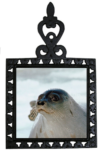 Seal Iron Trivet