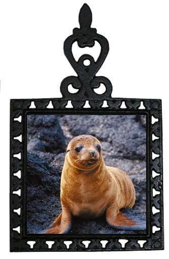 Sea Lion Iron Trivet