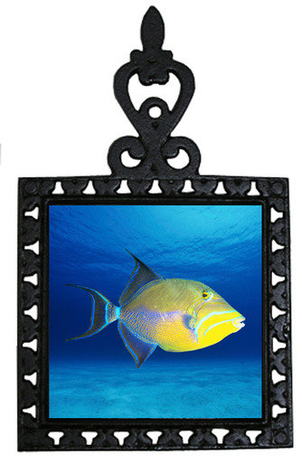 Triggerfish Iron Trivet