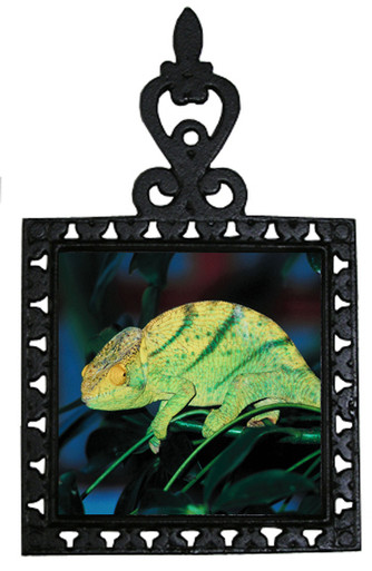 Chameleon Iron Trivet