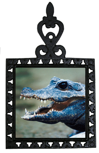 Crocodile Iron Trivet