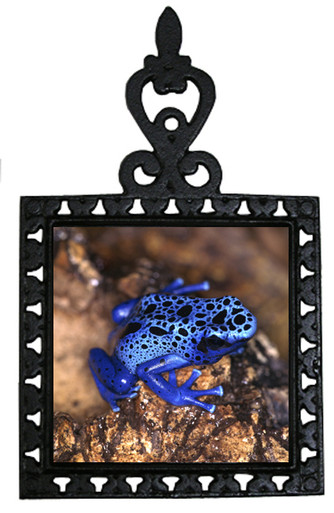 Blue Frog Iron Trivet