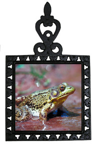 Green Frog Iron Trivet