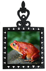 Tomato Frog Iron Trivet