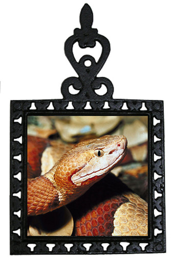 Copperhead Snake Iron Trivet