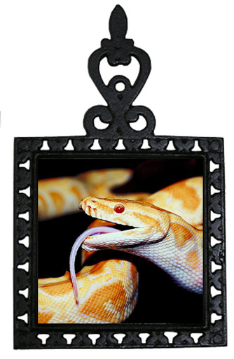Python Snake Iron Trivet