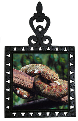 Viper Snake Iron Trivet