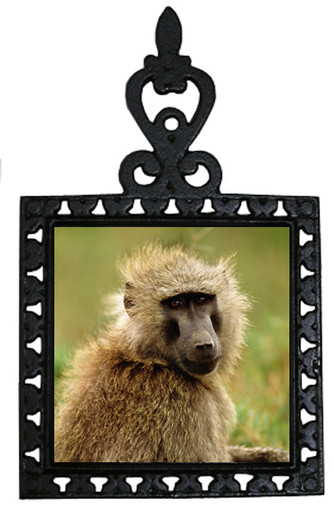 Baboon Iron Trivet