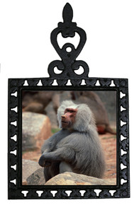 Baboon Iron Trivet