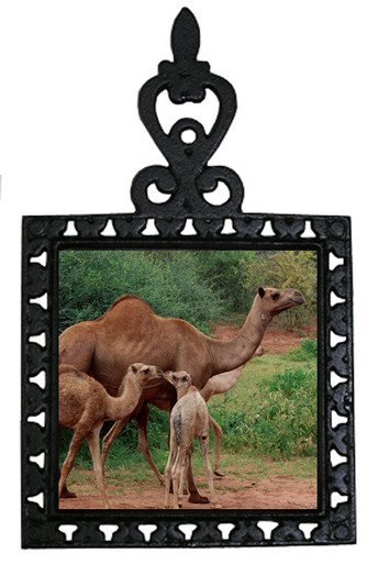 Camel Iron Trivet