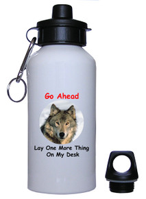 Lay One More Thing On My Desk: Water Bottle