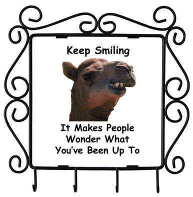 Keep Smiling: Metal Key Holder