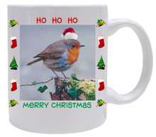 Robin  Christmas Mug