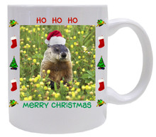 Groundhog Christmas Mug