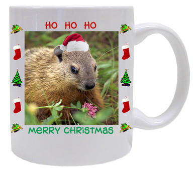 Groundhog Christmas Mug