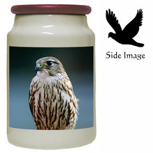 Falcon Canister Jar