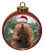 Beaver Ceramic Red Drum Christmas Ornament