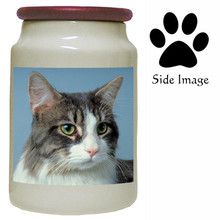 Cat Canister Jar