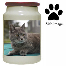 Cat Canister Jar