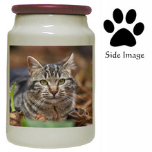 Tabby Cat Canister Jar