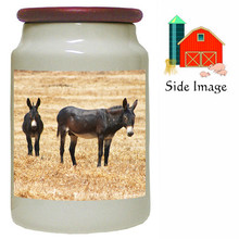 Donkey Canister Jar