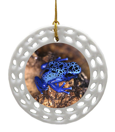 Blue Frog Porcelain Christmas Ornament