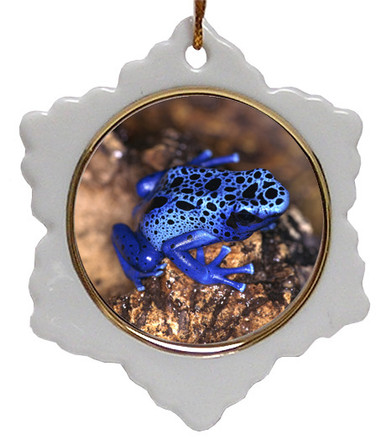Blue Frog Jolly Santa Snowflake Christmas Ornament