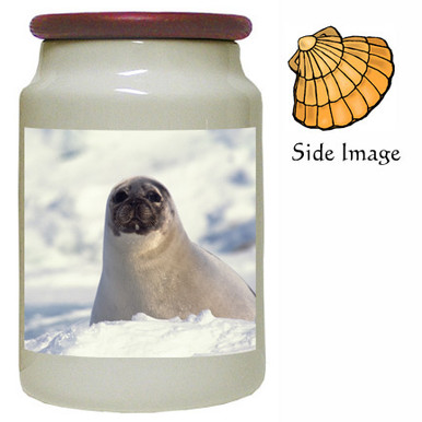 Seal Canister Jar