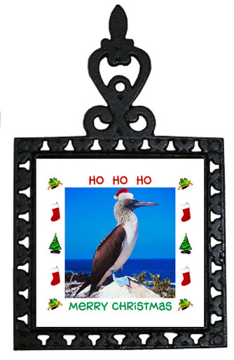 Blue Footed Booby Christmas Trivet