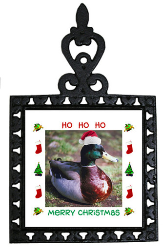 Duck Christmas Trivet