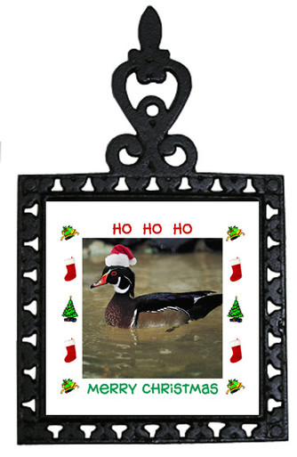 Duck Christmas Trivet