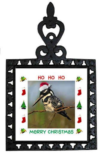 Pied Kingfisher Christmas Trivet